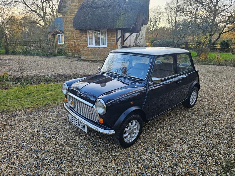 View ROVER MINI 1.0