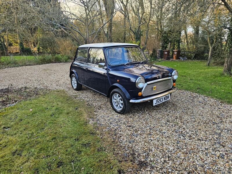 View ROVER MINI 1.0