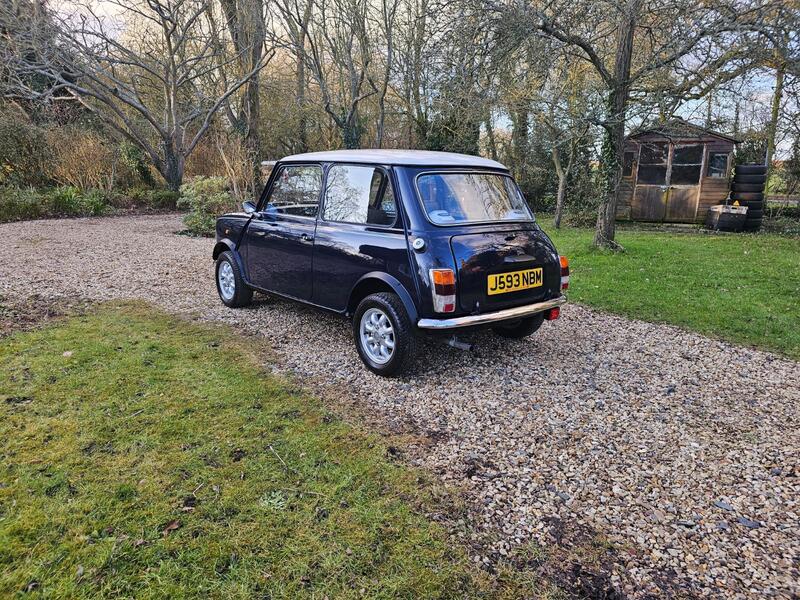View ROVER MINI 1.0